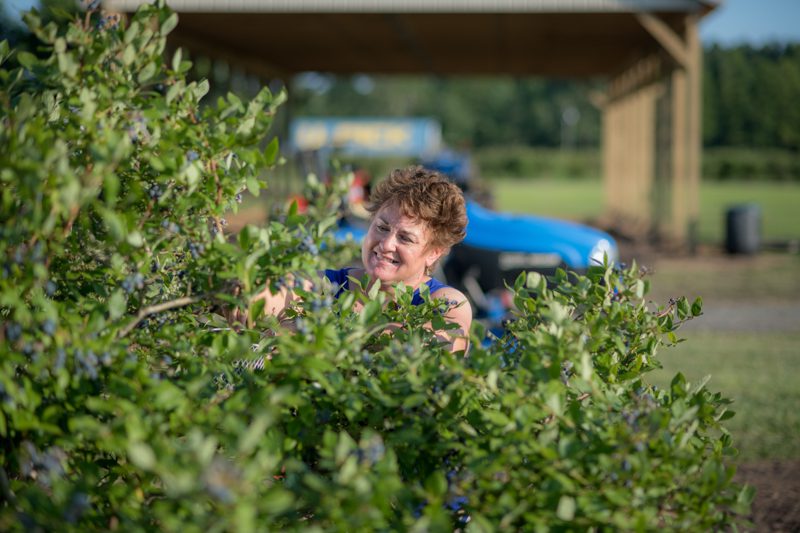 Kingsley Orchards