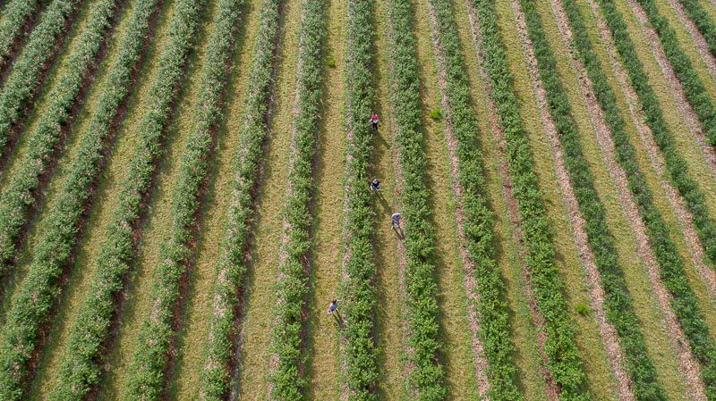 Become a Featured farm