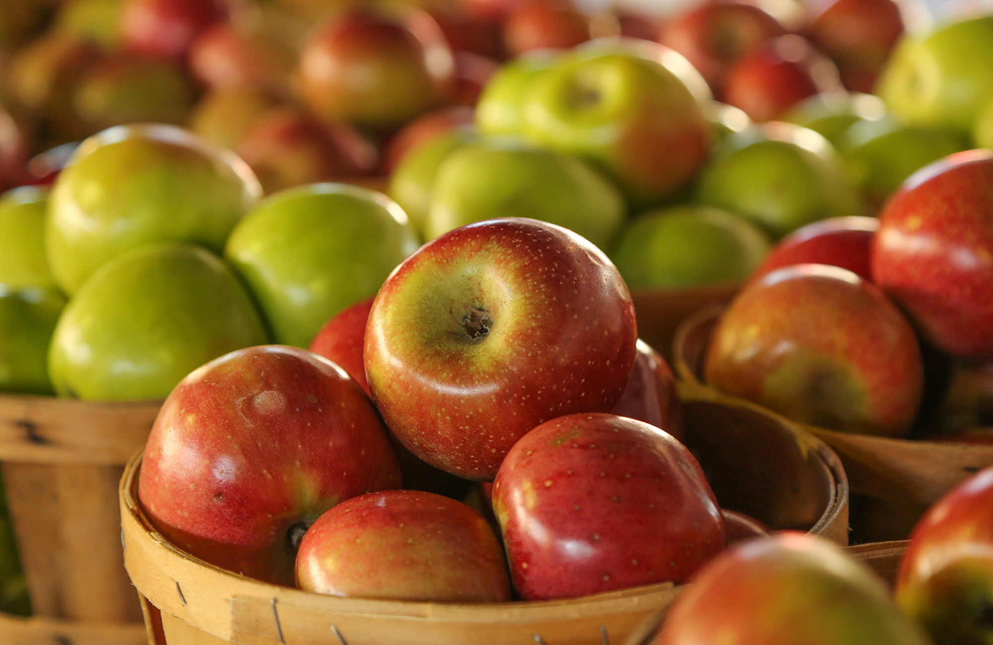 Picture of fresh apples
