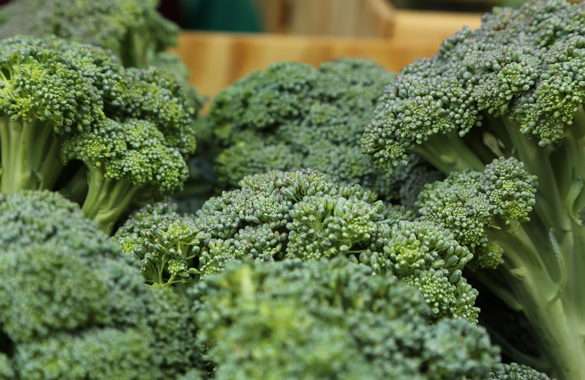 Picture of fresh broccoli