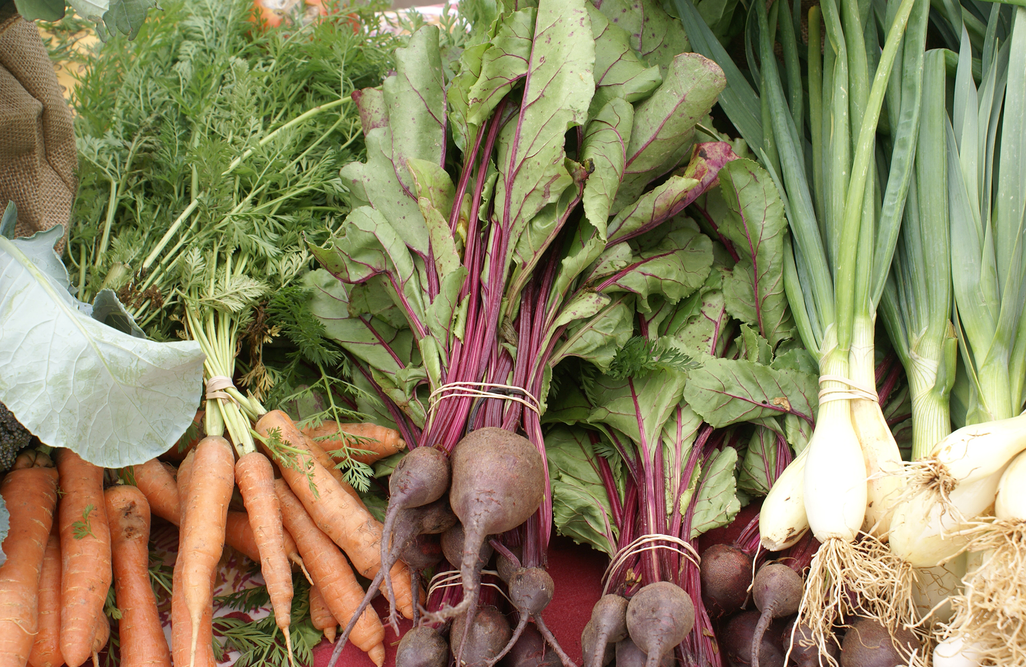 Picture of fresh carrots, beets, and leeks