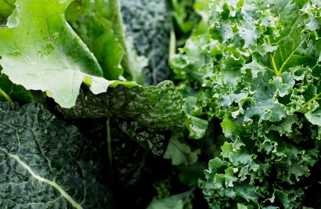 Kale Chips - Delaware Grown