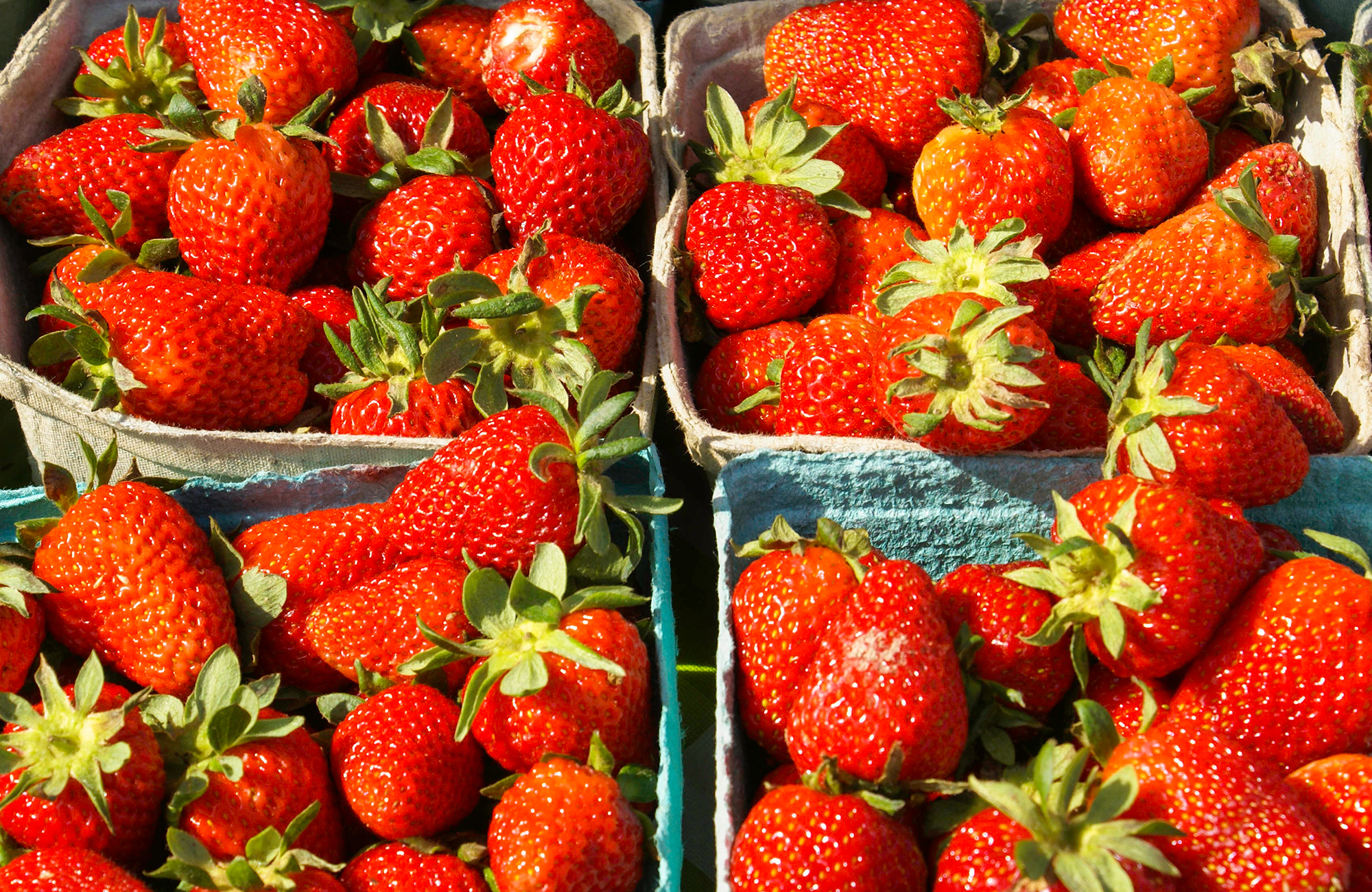 Picture of fresh strawberries
