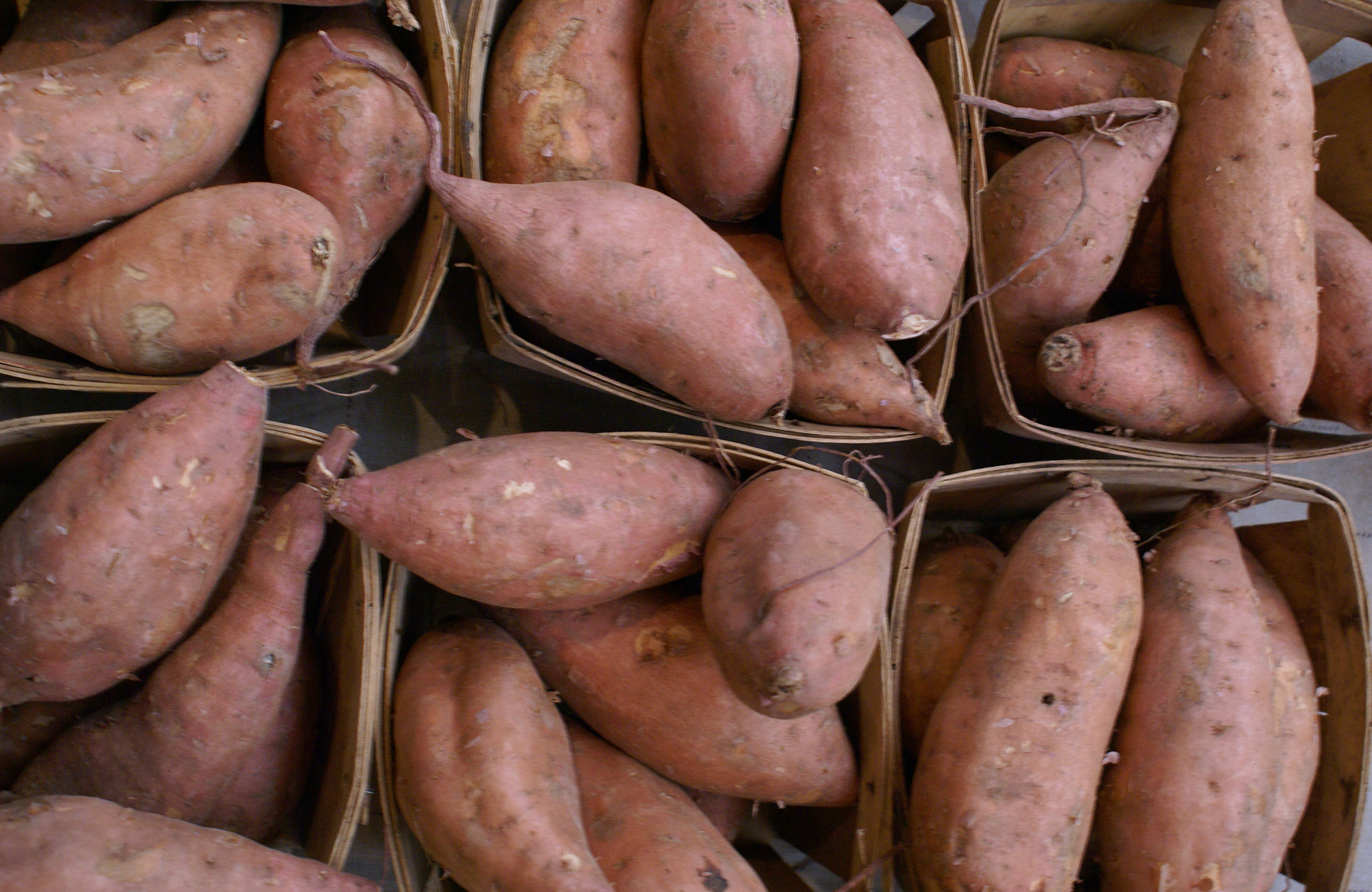 Picture of fresh sweet potatoes
