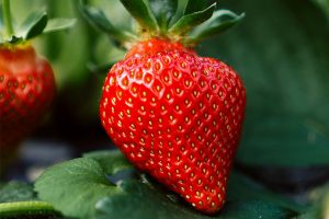 Bright red strawberry with green leaves