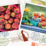 Delaware Grown Road Trip, polaroid style photos of peaches and specialty crops on a picnic table, multiple passport style graphics on a wood background